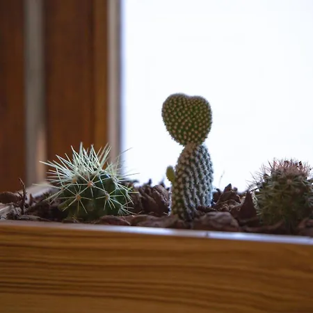 Guestready - Catorze De Outubro 423 Apartamento