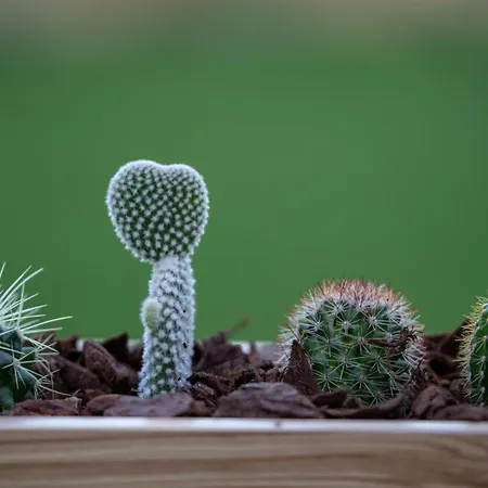 Apartamento Guestready - Catorze De Outubro 423