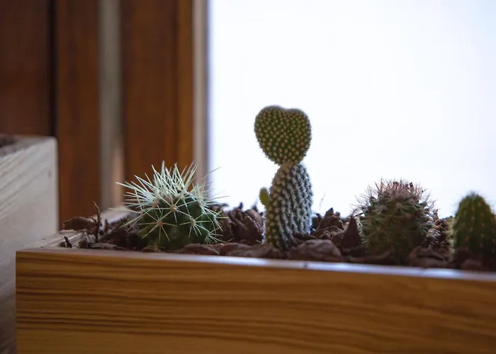 Guestready - Catorze De Outubro 423 아파트