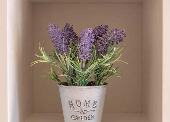 Guestready - Catorze De Outubro 423 アパート ヴィラ・ノヴァ・デ・ガイア