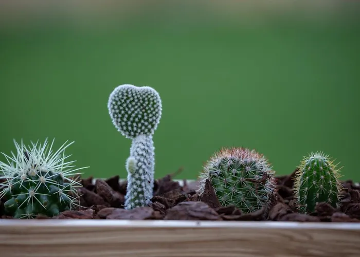 아파트 Guestready - Catorze De Outubro 423